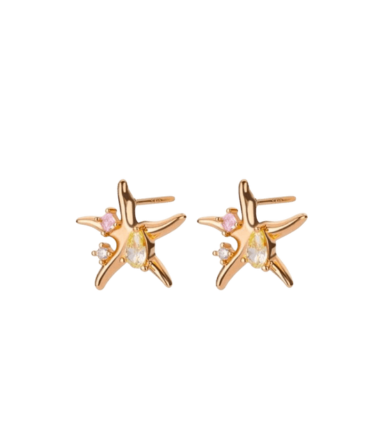 Starfish - Dar Marsa