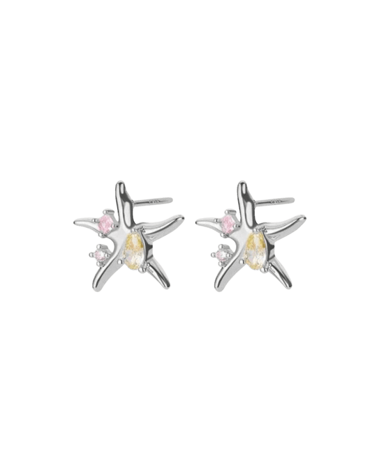 Starfish - Dar Marsa